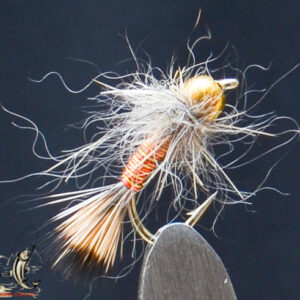 FlyCF1131_614