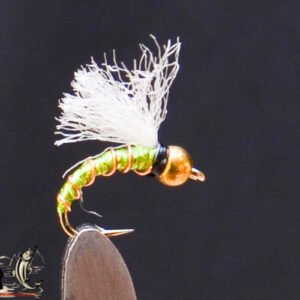 FlyCF1131_615