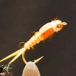 FlyCF1131_617