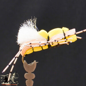 FlyCF1131_618