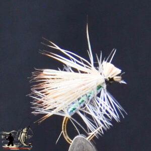 FlyCF1131_619