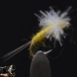 Sulphur Spinner