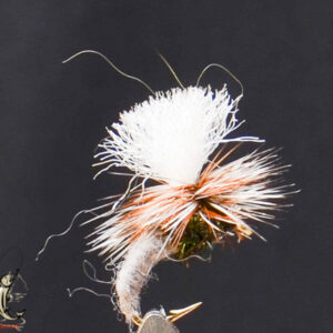 FlyCF1131_620