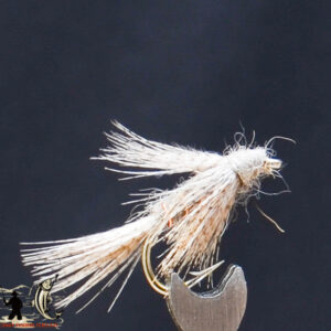 FlyCF1131_621