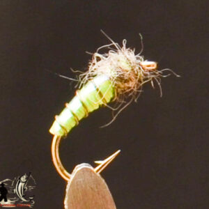 FlyCF1131_622