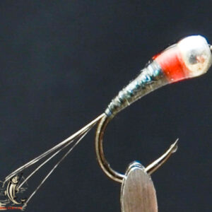 FlyCF1131_624