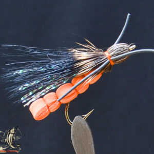 FlyCF1131_626