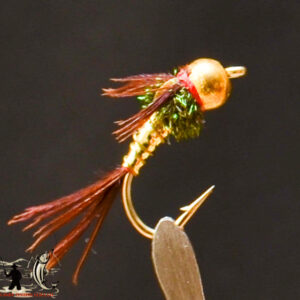FlyCF1131_627