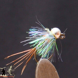 FlyCF1131_628
