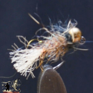 FlyCF1131_637