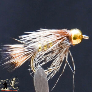 FlyCF1131_638