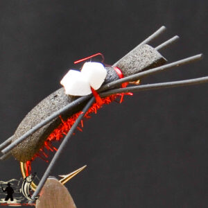 FlyCF1131_639