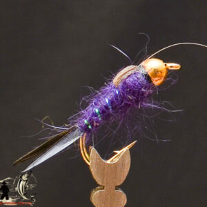 FlyCF1131_640