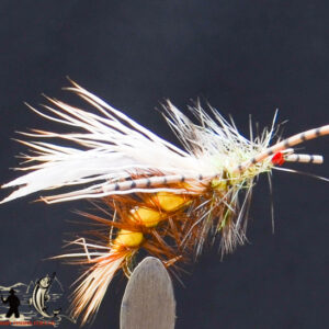 FlyCF1131_642