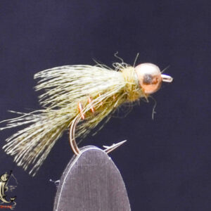 FlyCF1131_643