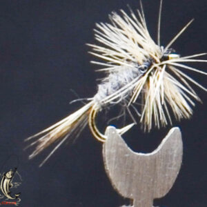 FlyCF1131_644
