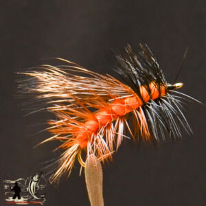FlyCF1131_645