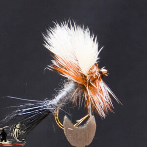 FlyCF1131_646