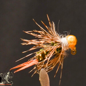 FlyCF1131_648