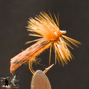 FlyCF1131_649