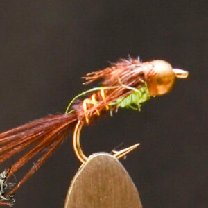 FlyCF1131_650