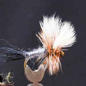 FlyCF1131_652