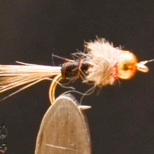 FlyCF1131_653