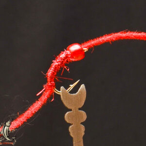 FlyCF1131_657