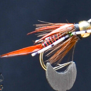 FlyCF1131_661