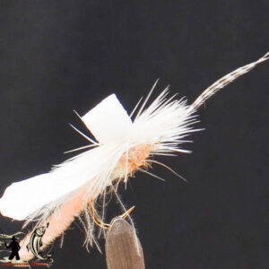 FlyCF1131_662