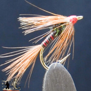 FlyCF1131_667