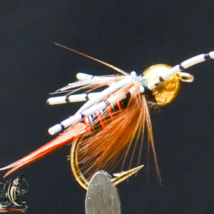 FlyCF1131_669