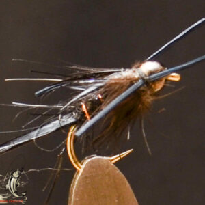FlyCF1131_671