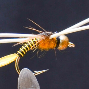 FlyCF1131_673