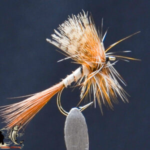 FlyCF1131_675