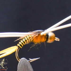 FlyCF1131_676