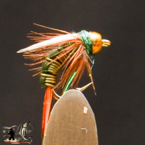 FlyCF1131_677