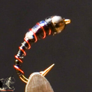 FlyCF1131_679