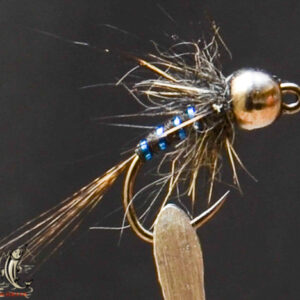 FlyCF1131_680