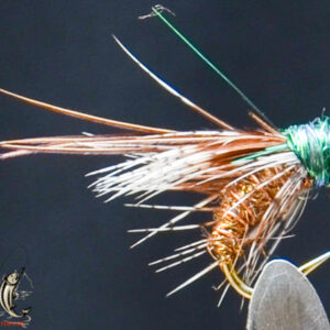 FlyCF1131_682