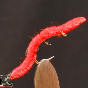 FlyCF1131_719