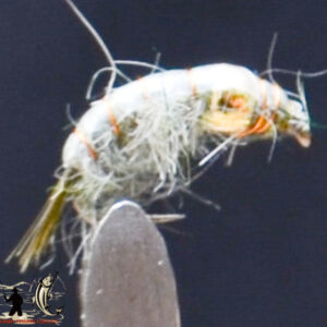 FlyCF1131_720