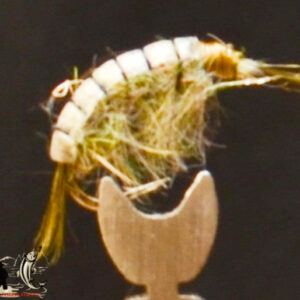 FlyCF1131_721