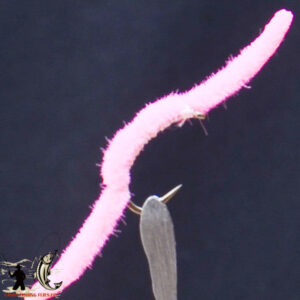 FlyCF1131_722