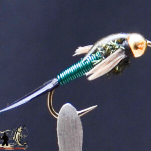 FlyCF1131_729