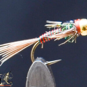 FlyCF1131_732