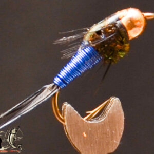 FlyCF1131_733