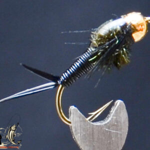 FlyCF1131_737