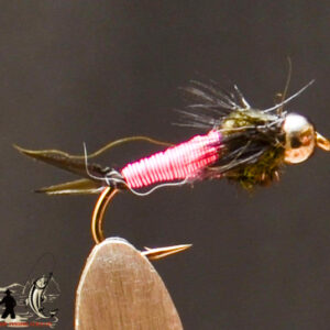 FlyCF1131_743