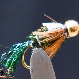 FlyCF1131_744